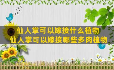 仙人掌可以嫁接什么植物 仙人掌可以嫁接哪些多肉植物